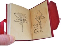 Leonardo's-dragonfly-and-parachute