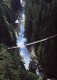 Aerial shot of Capilano Suspension Bridge