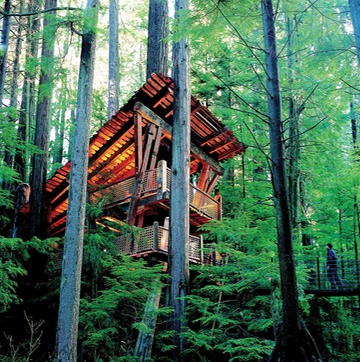 Capilano Bridge, tree top adventures